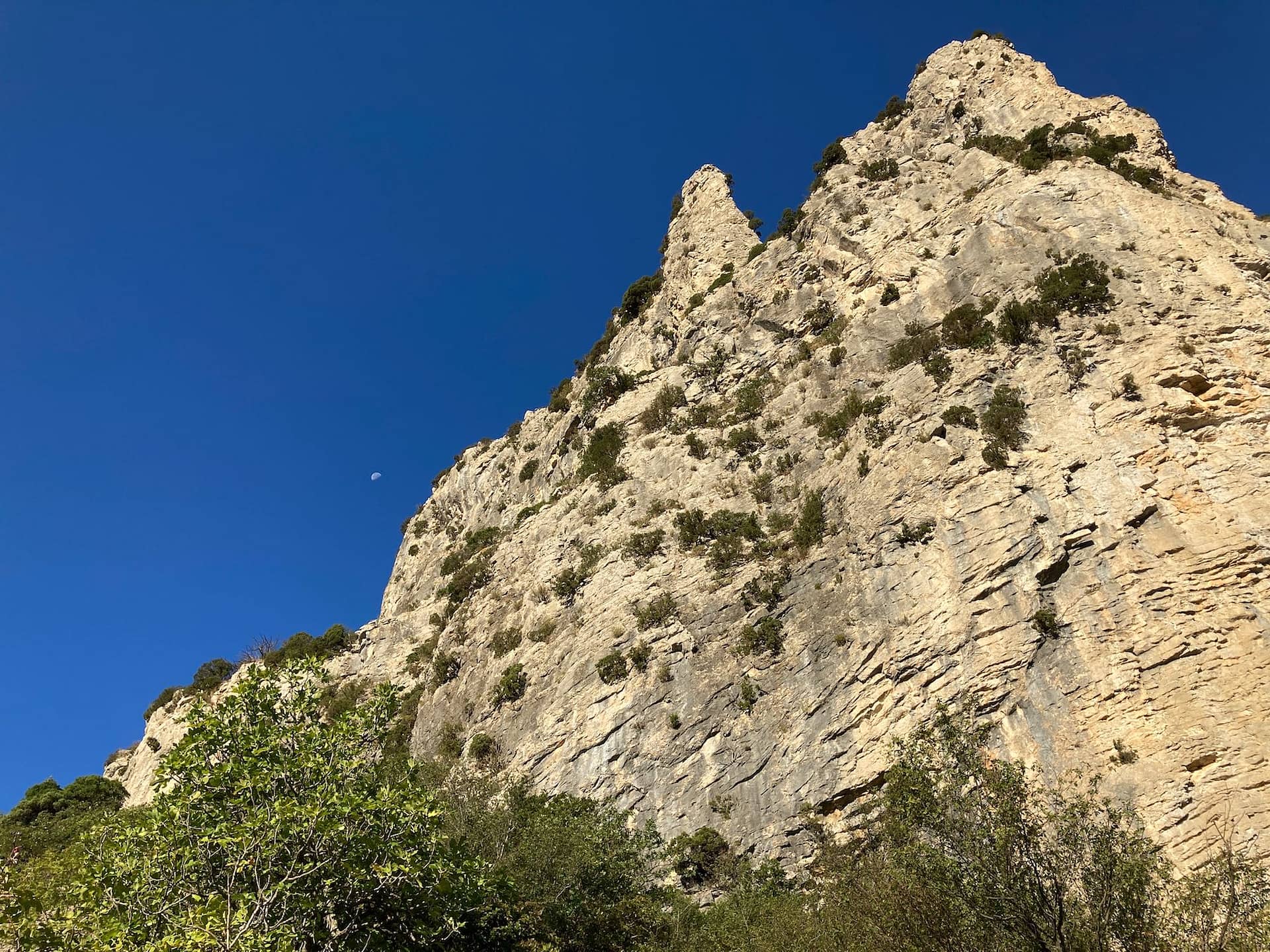 47B9C3E0-D884-4C83-8953-B123CD293FCB-69583-000005B3124B4A2F-2023-08-07-StGuilhem