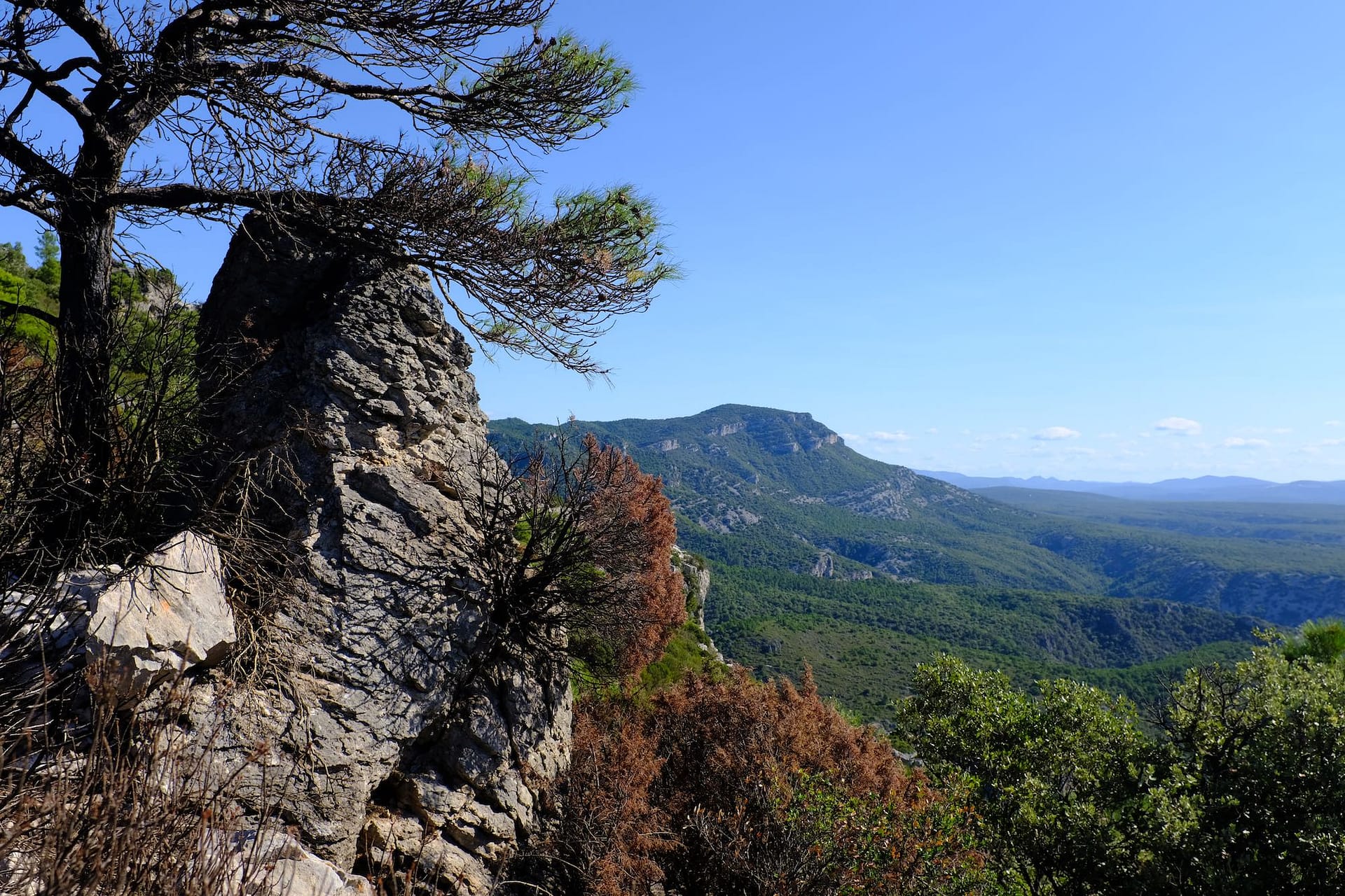 DSCF4443-2023-08-07-StGuilhem