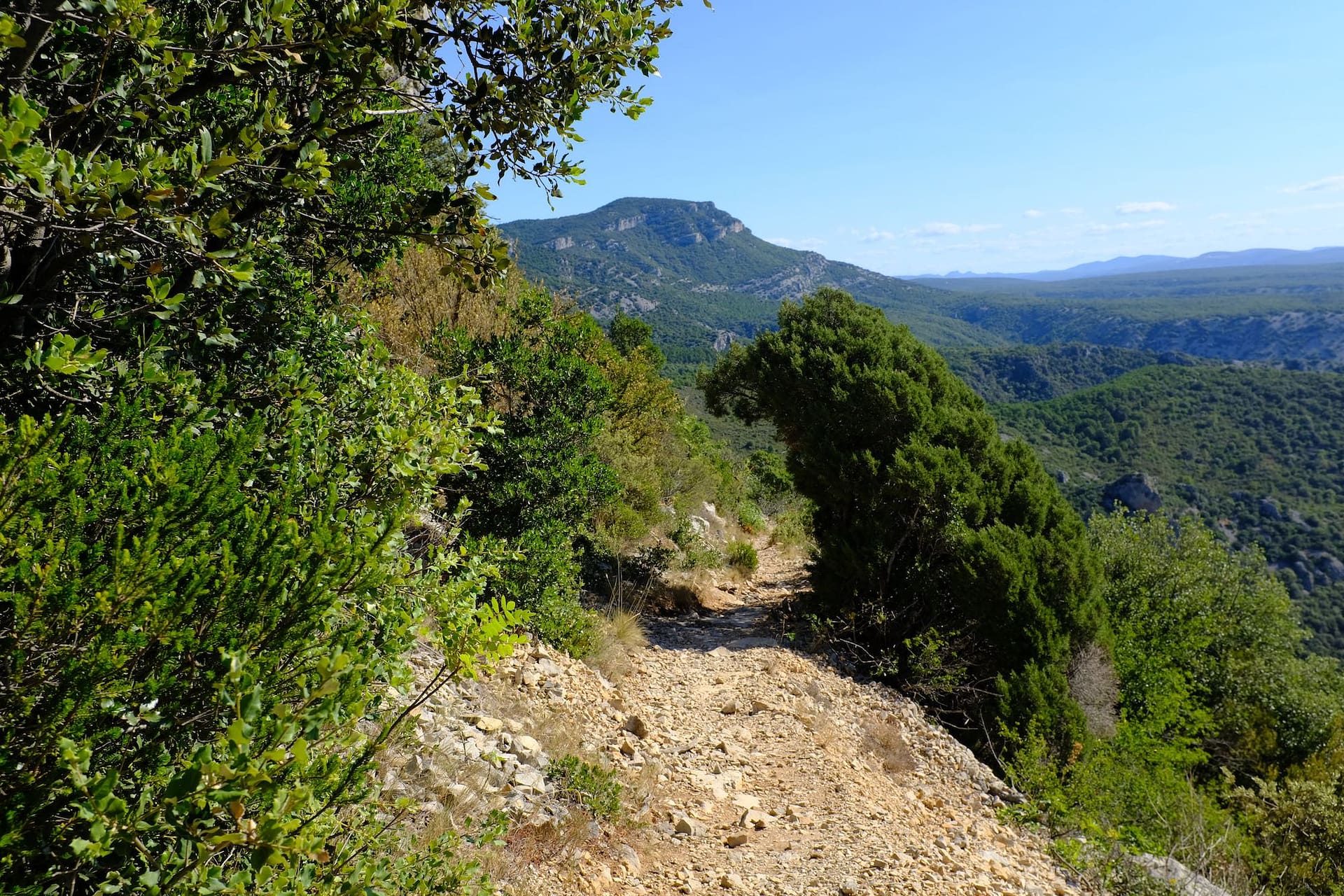 DSCF4451-2023-08-07-StGuilhem