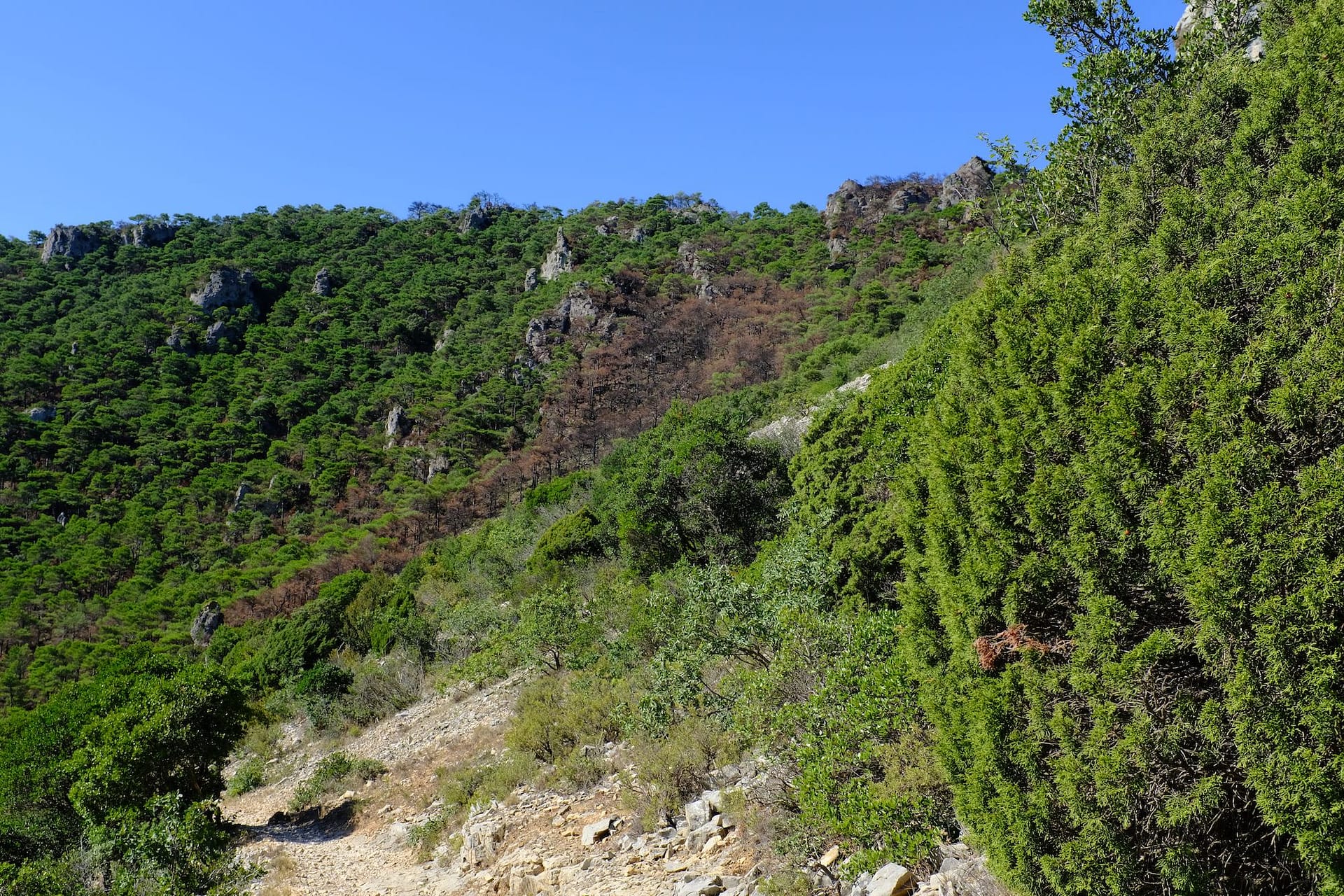 DSCF4455-2023-08-07-StGuilhem